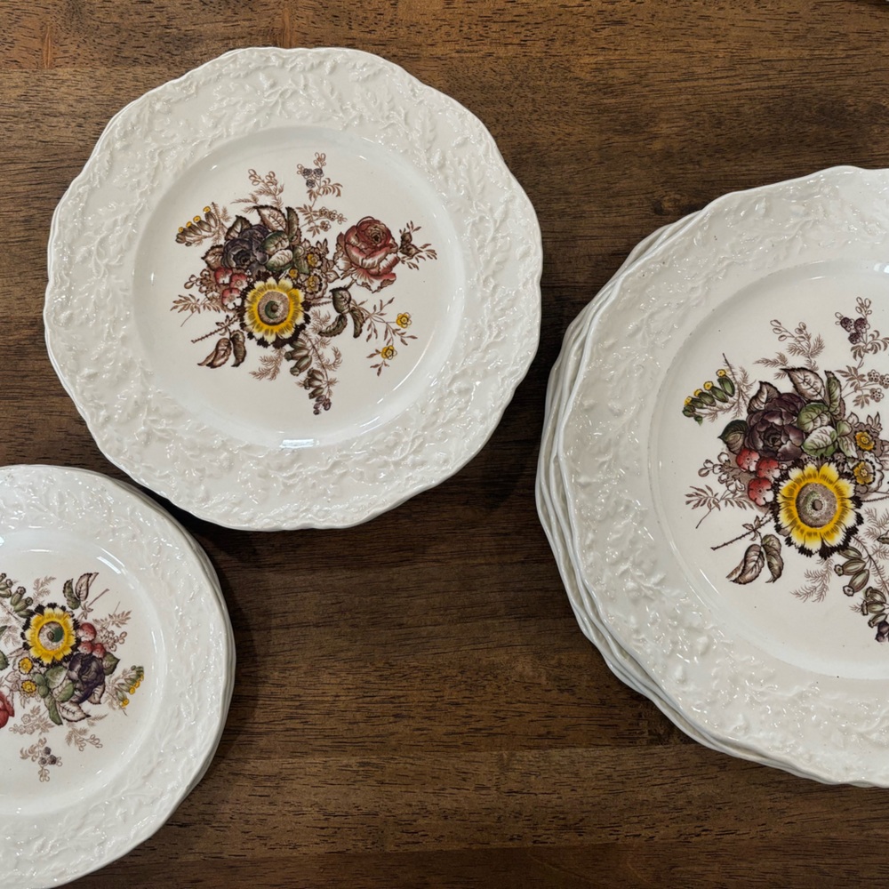 Vintage Friarswood ironstone plates set of 12